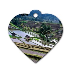 Rice Terrace Rice Fields Dog Tag Heart (two Sides) by Nexatart