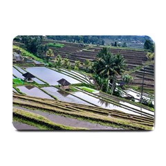 Rice Terrace Rice Fields Small Doormat  by Nexatart