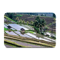 Rice Terrace Rice Fields Plate Mats