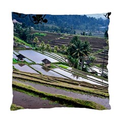 Rice Terrace Rice Fields Standard Cushion Case (one Side) by Nexatart