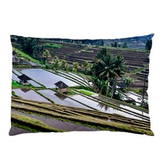 Rice Terrace Rice Fields Pillow Case by Nexatart