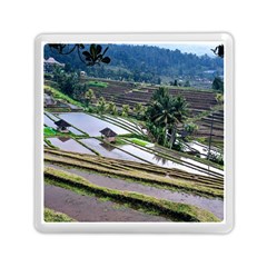 Rice Terrace Rice Fields Memory Card Reader (square)  by Nexatart