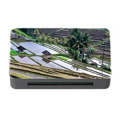 Rice Terrace Rice Fields Memory Card Reader With Cf by Nexatart