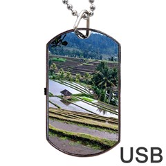 Rice Terrace Rice Fields Dog Tag Usb Flash (one Side) by Nexatart