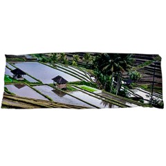 Rice Terrace Rice Fields Body Pillow Case (dakimakura) by Nexatart