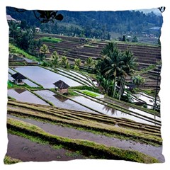 Rice Terrace Rice Fields Large Cushion Case (one Side) by Nexatart