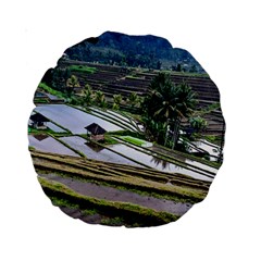 Rice Terrace Rice Fields Standard 15  Premium Round Cushions by Nexatart