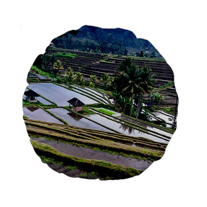 Rice Terrace Rice Fields Standard 15  Premium Round Cushions