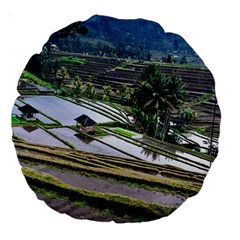 Rice Terrace Rice Fields Large 18  Premium Round Cushions by Nexatart