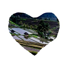 Rice Terrace Rice Fields Standard 16  Premium Heart Shape Cushions by Nexatart