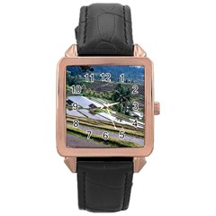 Rice Terrace Rice Fields Rose Gold Leather Watch  by Nexatart