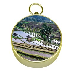 Rice Terrace Rice Fields Gold Compasses by Nexatart