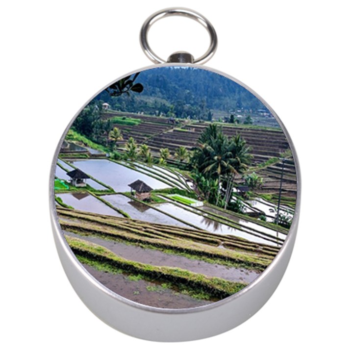 Rice Terrace Rice Fields Silver Compasses