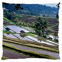 Rice Terrace Rice Fields Standard Flano Cushion Case (one Side) by Nexatart