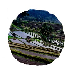 Rice Terrace Rice Fields Standard 15  Premium Flano Round Cushions by Nexatart