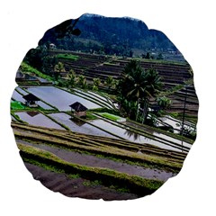 Rice Terrace Rice Fields Large 18  Premium Flano Round Cushions by Nexatart