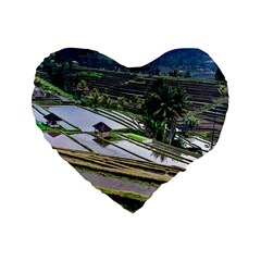 Rice Terrace Rice Fields Standard 16  Premium Flano Heart Shape Cushions by Nexatart