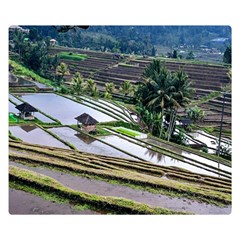 Rice Terrace Rice Fields Double Sided Flano Blanket (small)  by Nexatart