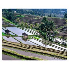 Rice Terrace Rice Fields Double Sided Flano Blanket (medium)  by Nexatart