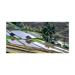 Rice Terrace Rice Fields Yoga Headband by Nexatart