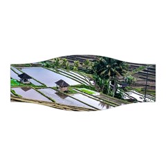 Rice Terrace Rice Fields Stretchable Headband by Nexatart