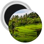 Rice Terrace Terraces 3  Magnets Front