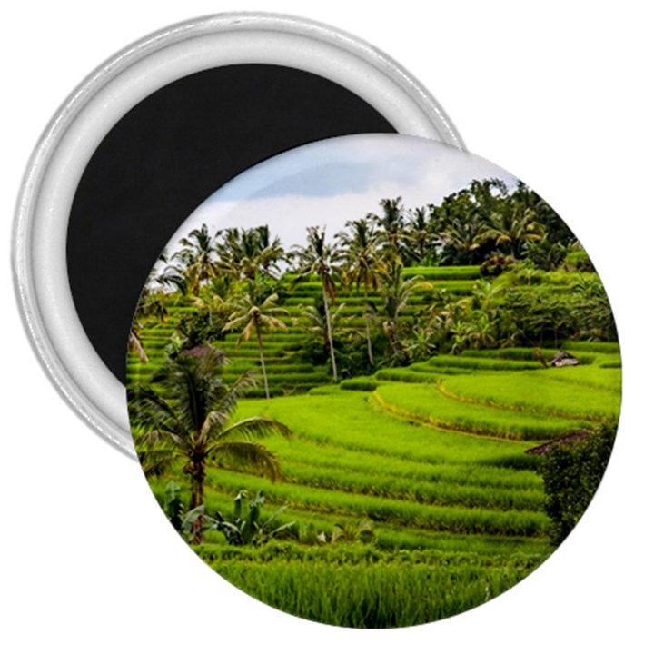 Rice Terrace Terraces 3  Magnets