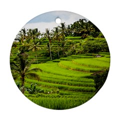 Rice Terrace Terraces Ornament (round) by Nexatart