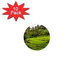 Rice Terrace Terraces 1  Mini Magnet (10 Pack)  by Nexatart