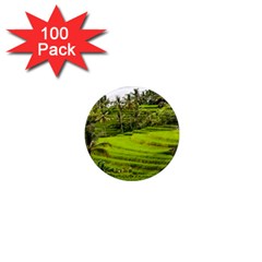 Rice Terrace Terraces 1  Mini Magnets (100 Pack)  by Nexatart