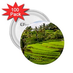 Rice Terrace Terraces 2 25  Buttons (100 Pack)  by Nexatart