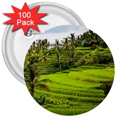 Rice Terrace Terraces 3  Buttons (100 Pack)  by Nexatart