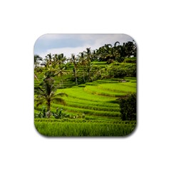 Rice Terrace Terraces Rubber Coaster (square)  by Nexatart