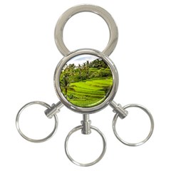 Rice Terrace Terraces 3-ring Key Chains by Nexatart