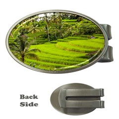 Rice Terrace Terraces Money Clips (oval)  by Nexatart