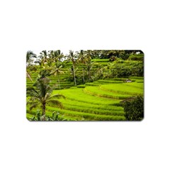 Rice Terrace Terraces Magnet (name Card) by Nexatart