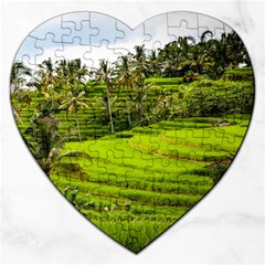 Rice Terrace Terraces Jigsaw Puzzle (heart) by Nexatart