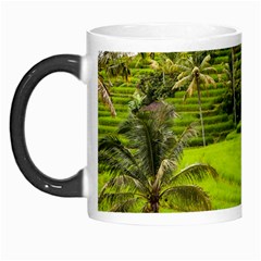 Rice Terrace Terraces Morph Mugs by Nexatart