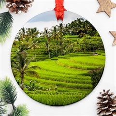 Rice Terrace Terraces Round Ornament (two Sides) by Nexatart