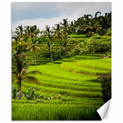 Rice Terrace Terraces Canvas 8  X 10  by Nexatart