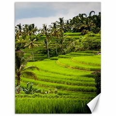 Rice Terrace Terraces Canvas 12  X 16   by Nexatart