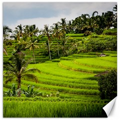 Rice Terrace Terraces Canvas 16  X 16   by Nexatart