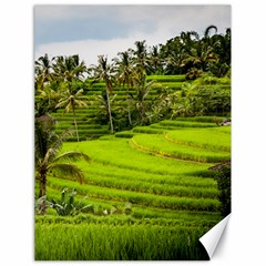 Rice Terrace Terraces Canvas 18  X 24   by Nexatart