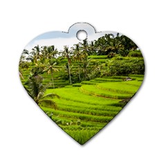 Rice Terrace Terraces Dog Tag Heart (one Side) by Nexatart