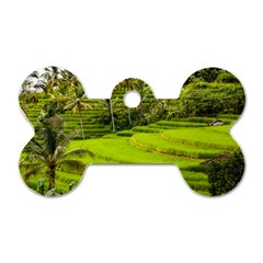 Rice Terrace Terraces Dog Tag Bone (two Sides) by Nexatart