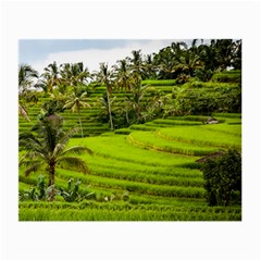 Rice Terrace Terraces Small Glasses Cloth (2-side) by Nexatart