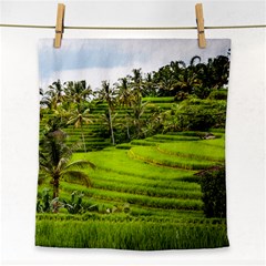 Rice Terrace Terraces Face Towel by Nexatart