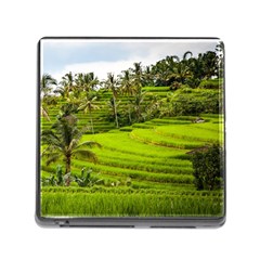 Rice Terrace Terraces Memory Card Reader (square) by Nexatart