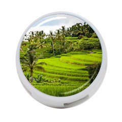 Rice Terrace Terraces 4-port Usb Hub (one Side) by Nexatart