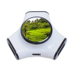 Rice Terrace Terraces 3-port Usb Hub by Nexatart